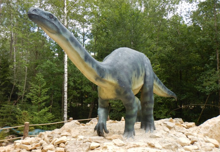 Dinosaurier Museum Altmühltal – Denkendorf, Eichstätt Bild