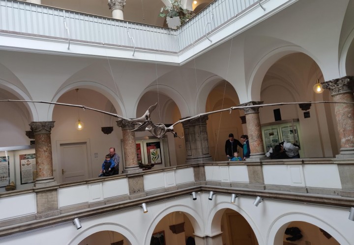 Palaeontological Museum, Munich – Maxvorstadt, München Thumbnail