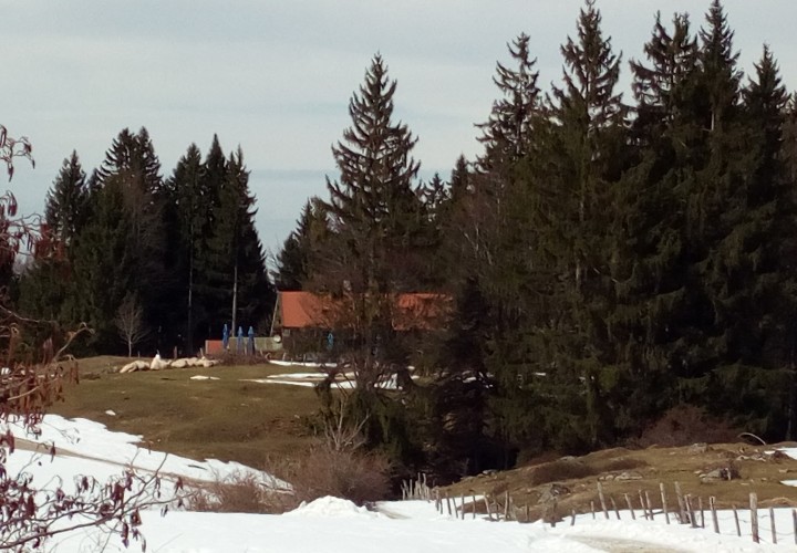 Frasdorfer Hütte – Aschau im Chiemgau, Rosenheim Bild