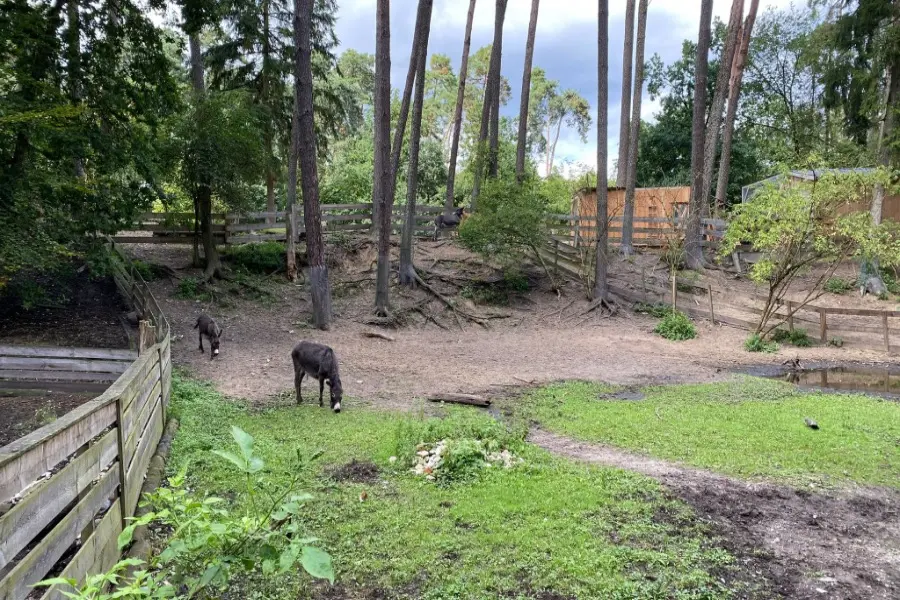 Erfahrungsbericht: Besuch im Tier- & Vogelpark Abensberg
