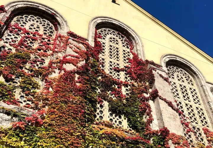 Jüdisches Museum Augsburg Schwaben, Standort Innenstadt