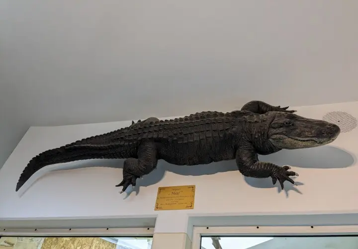 Kleinzoo Wasserstern e.V.