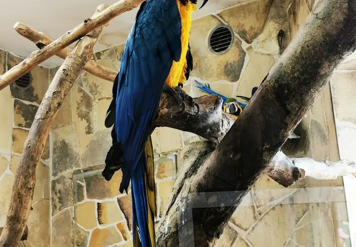 Kleinzoo Wasserstern e.V.