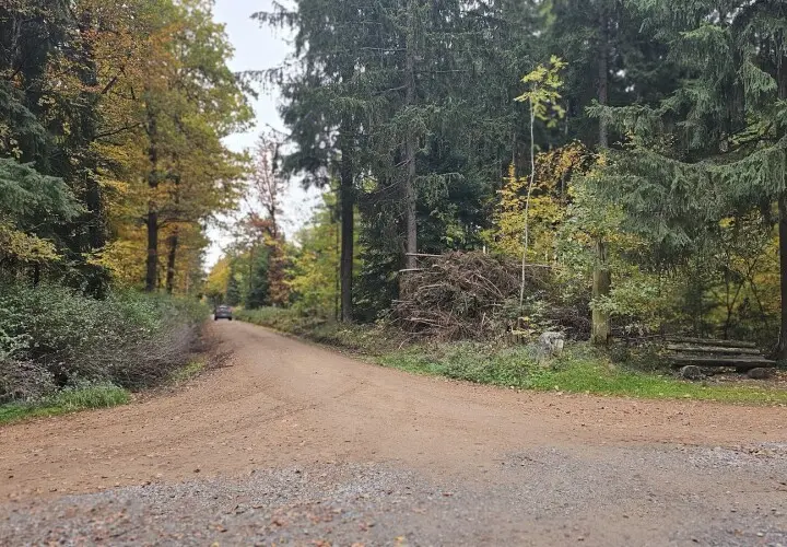 Hohe Linie, Hoher Markstein