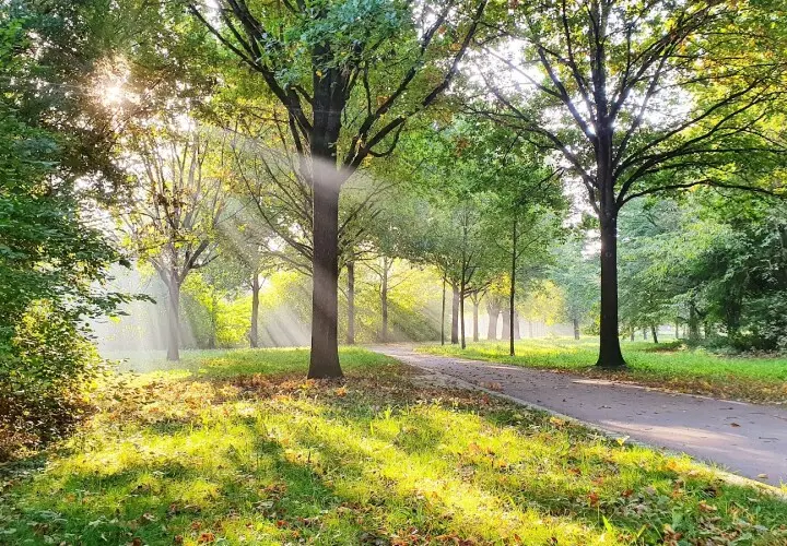 Aubachpark