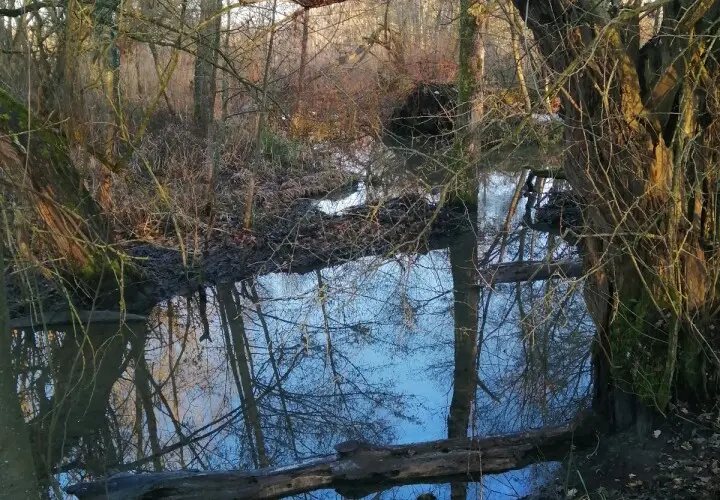 Aubachpark