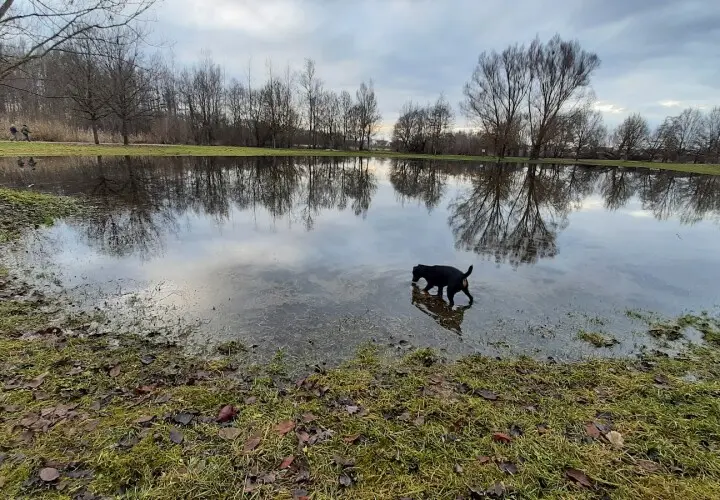 Aubachpark