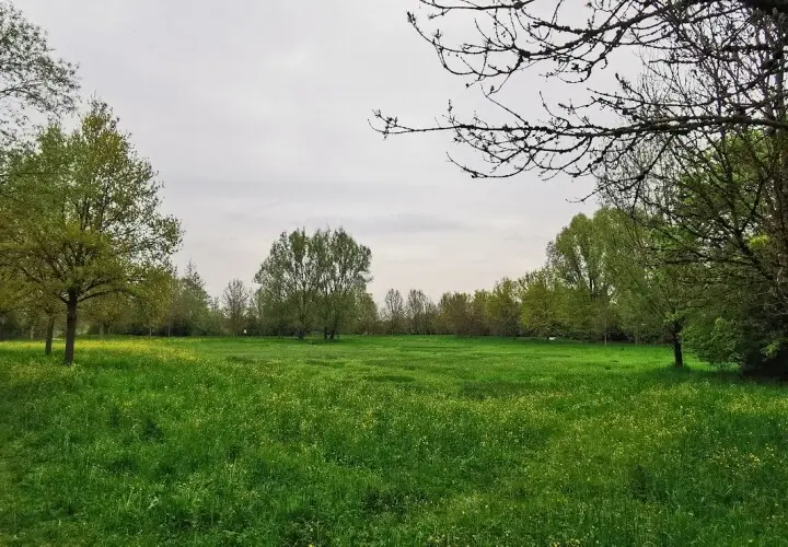 Aubachpark
