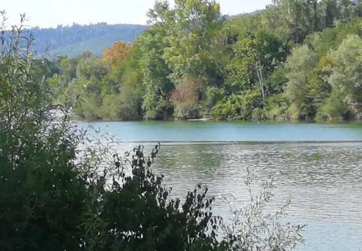 Sarchinger Weiher