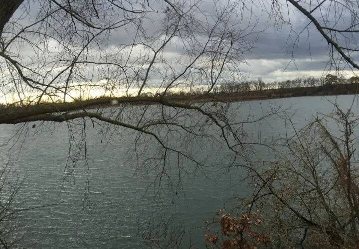 Sarchinger Weiher