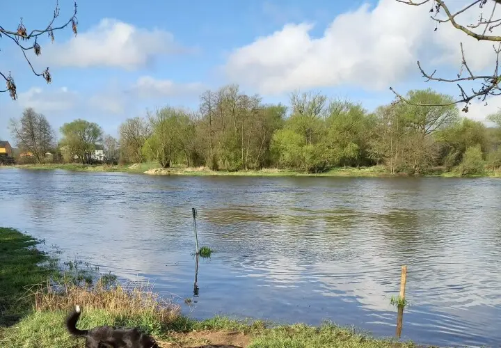 Naturbad Saltendorf