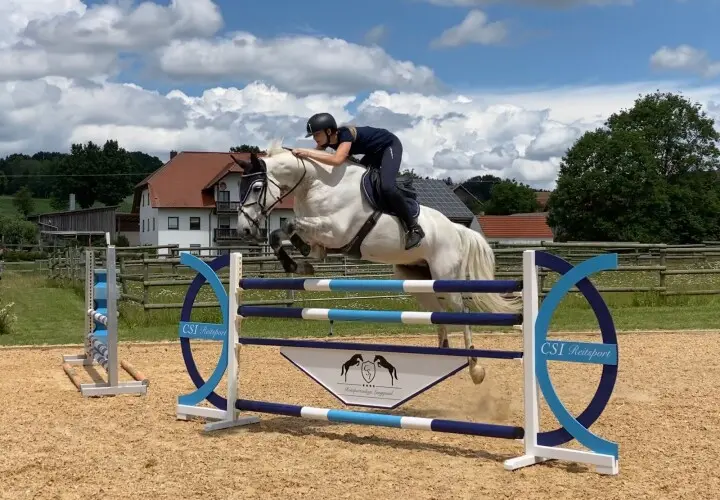 Reitsportanlage Langquaid