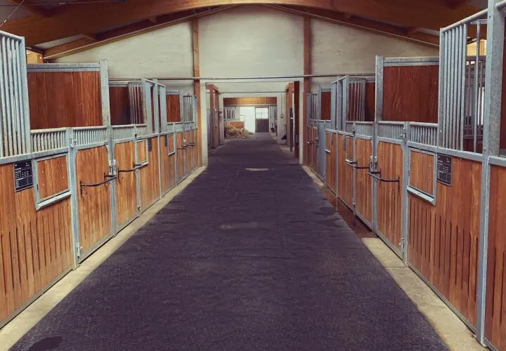 Reitsportanlage Langquaid