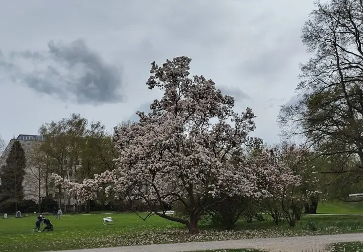 Stadtpark