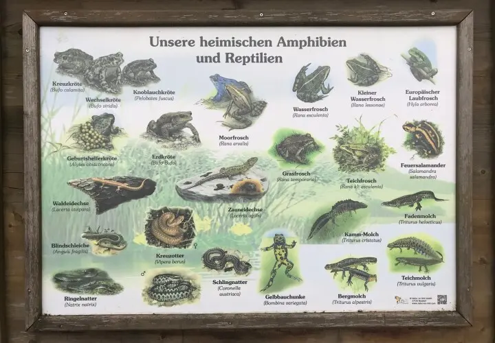 Waldbad Hemau