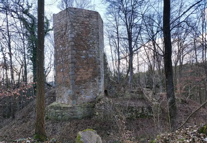 Burgruine Forstenberg