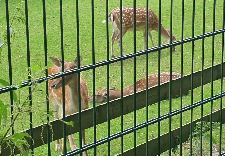 Kurpark