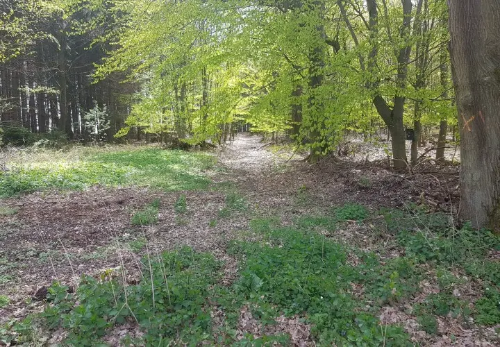 Wald - Wasser - Erlebnis - Teugn Brixenholz