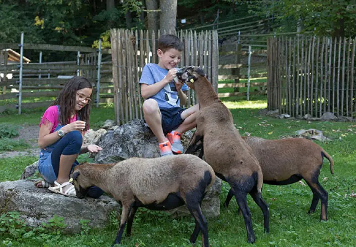Tiergehege Bad Abbach