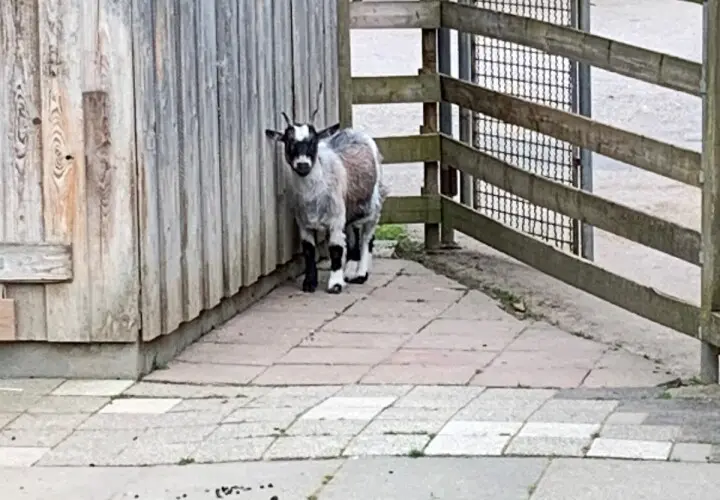 Tiergehege Bad Abbach