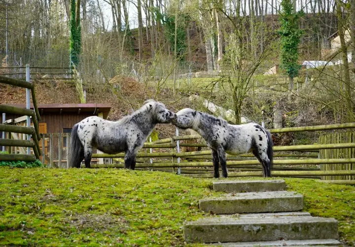 Tiergehege Bad Abbach