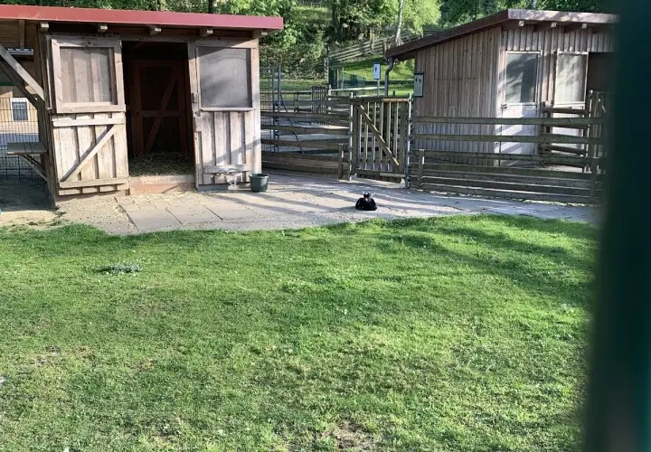 Tiergehege Bad Abbach