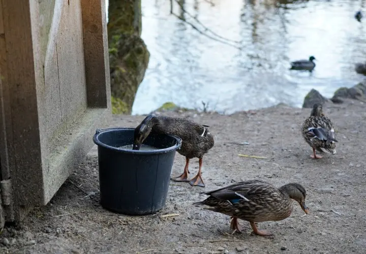 Tiergehege Bad Abbach