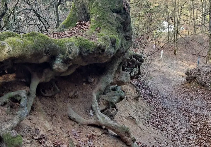 Geopfad Tegernheimer Schlucht