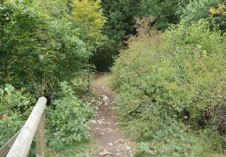 Geopfad Tegernheimer Schlucht