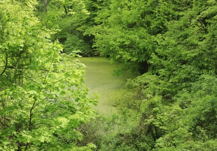 Geopfad Tegernheimer Schlucht