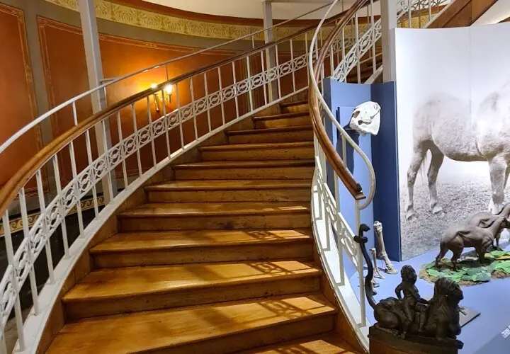 Naturkundemuseum Regensburg