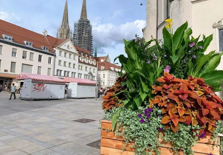 document Neupfarrplatz