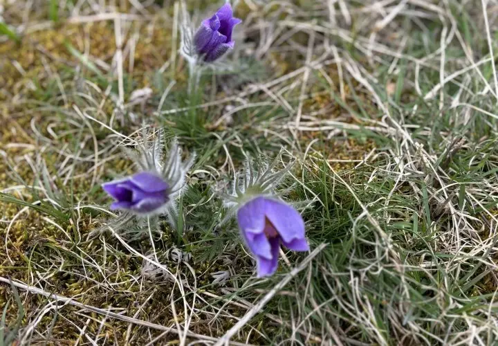 Gipfelkreuz Keilberg