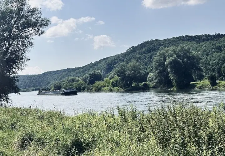 Zur Walba