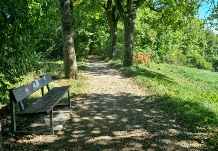 Kleiner Aussichtspunkt mit Bank