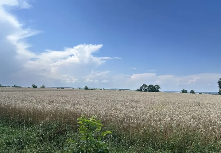 Kleiner Aussichtspunkt mit Bank