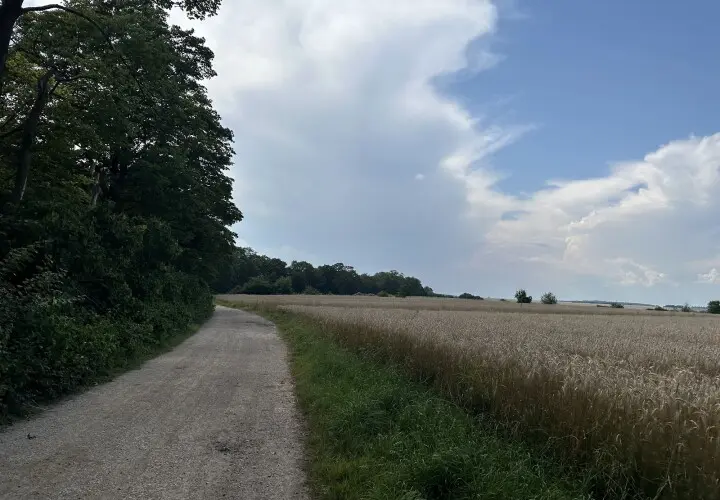 Kleiner Aussichtspunkt mit Bank