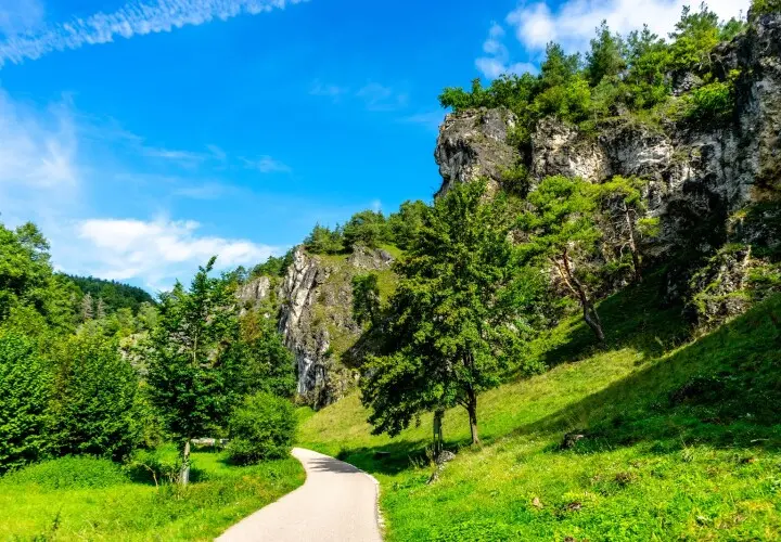 Alpinensteig