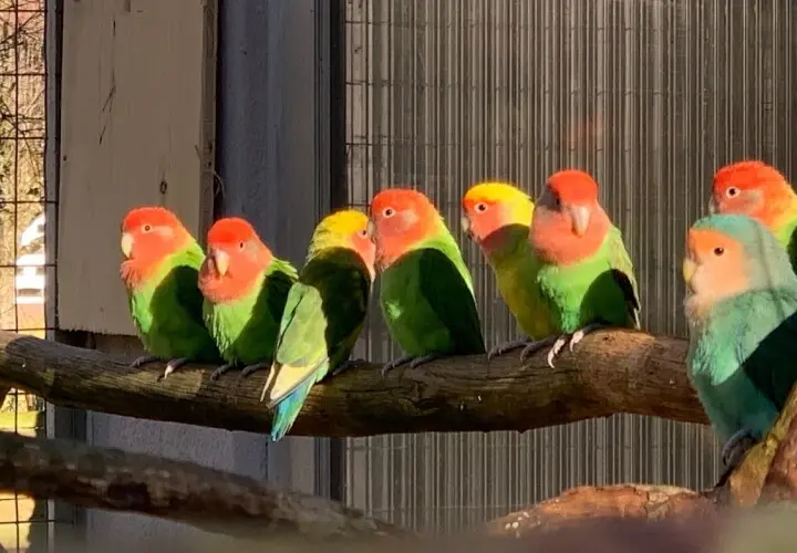 Vogel- und Tierpark Abensberg