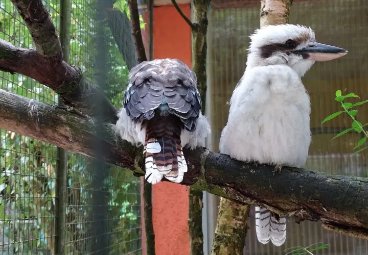 Vogel- und Tierpark Abensberg