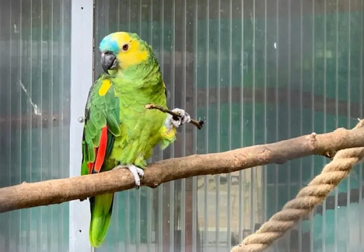 Vogel- und Tierpark Abensberg