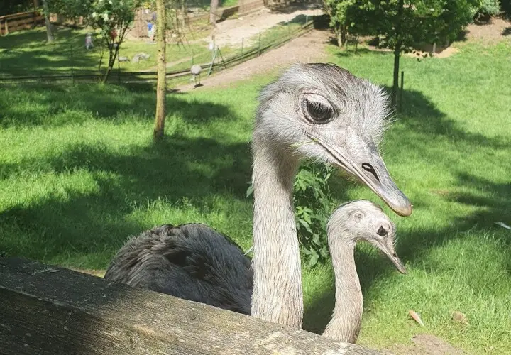 Vogel- und Tierpark Abensberg