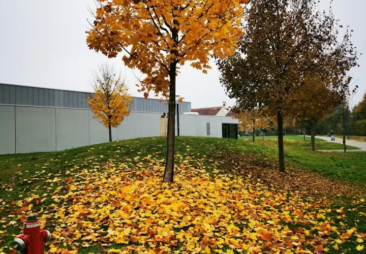 Gartenhallenbad Stadtbergen