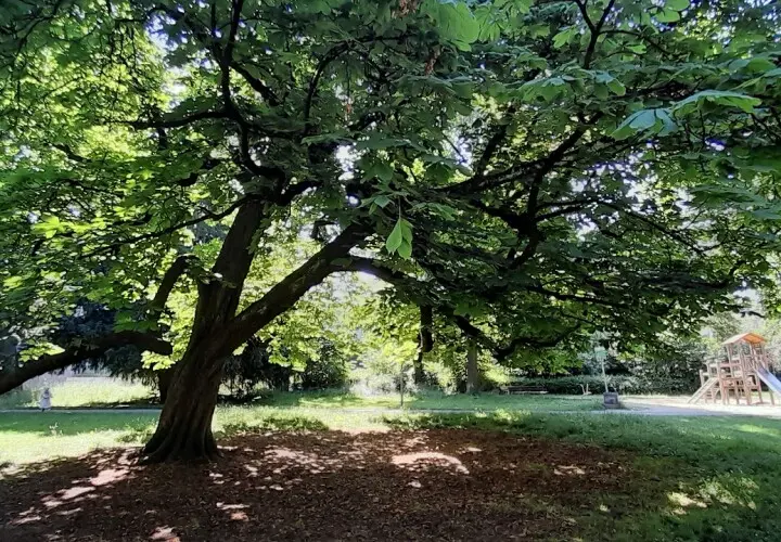 Kinderspielplatz