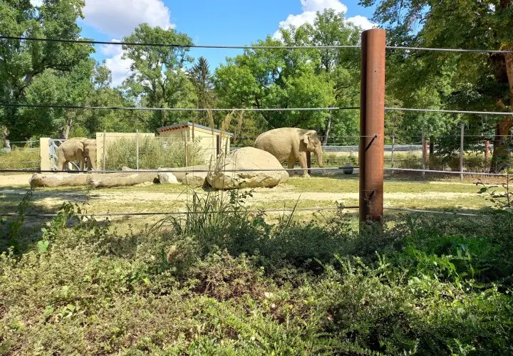 Zoo Gaststätte