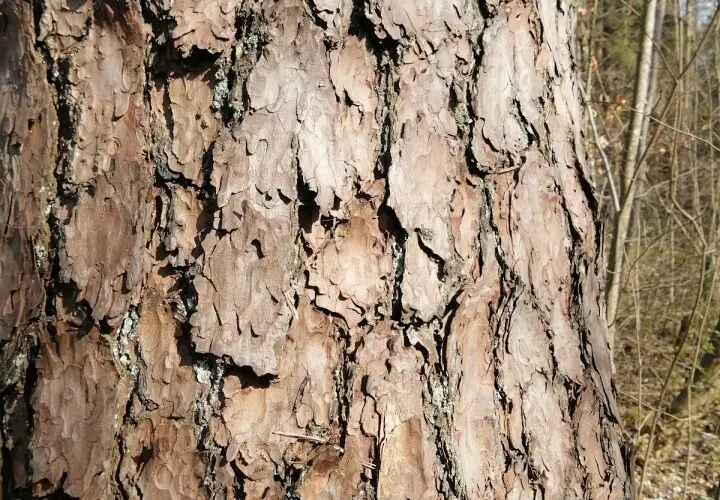 Spickelspielplatz