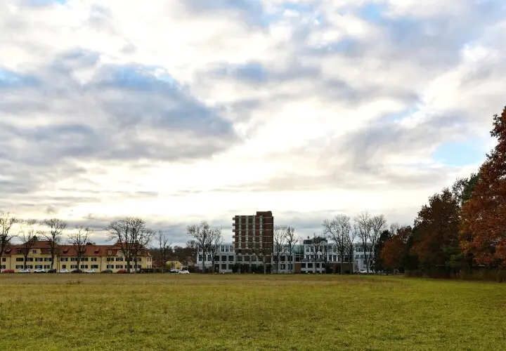 Spickelwiese