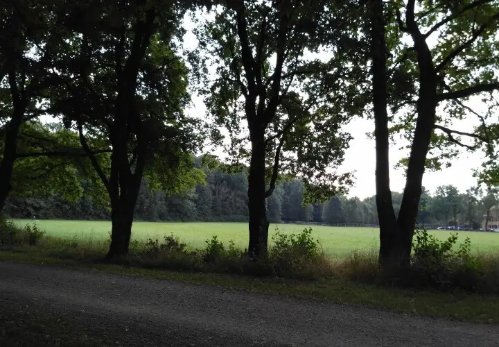 Spickelwiese