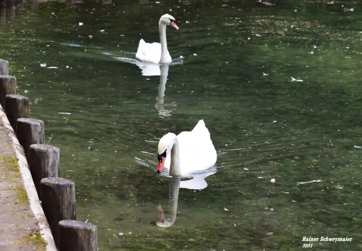 Stempflesee