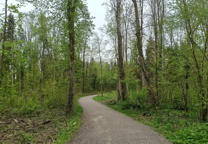 Gögginger Stadtwald